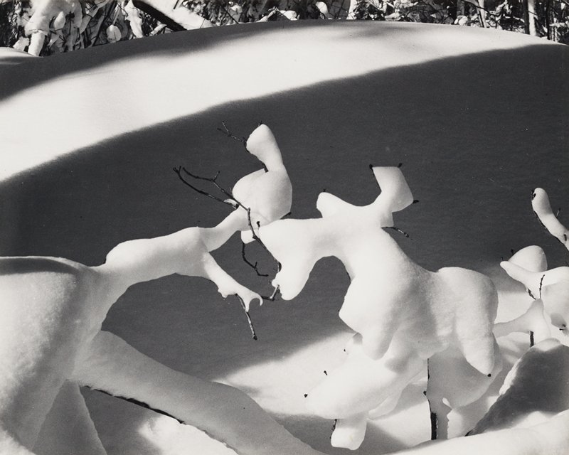 Snow Scene, Paul Caponigro