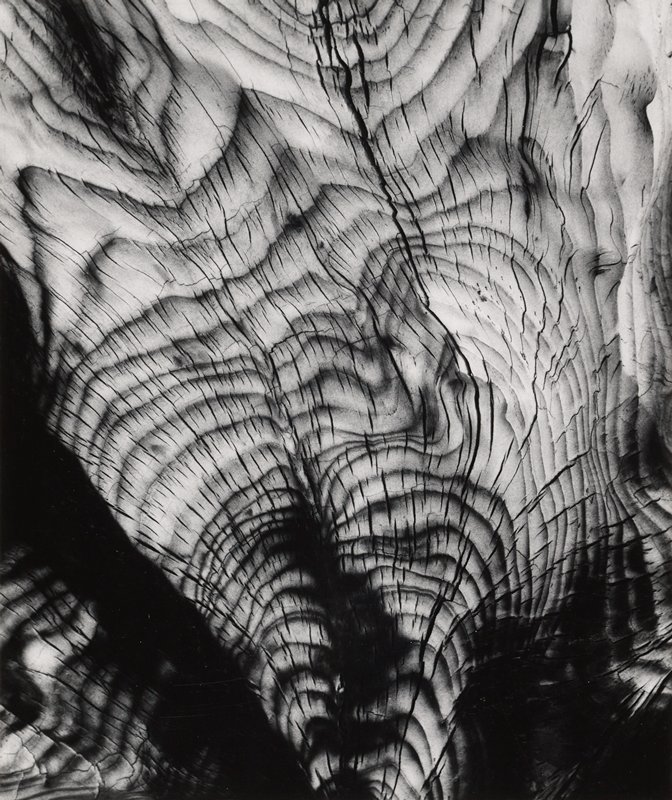 Tree Stump, Bloomfield, New York, Paul Caponigro, 1956