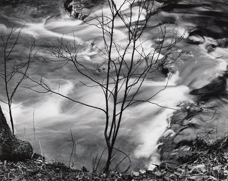 Bare Tree Rapids, Paul Caponigro, 1968