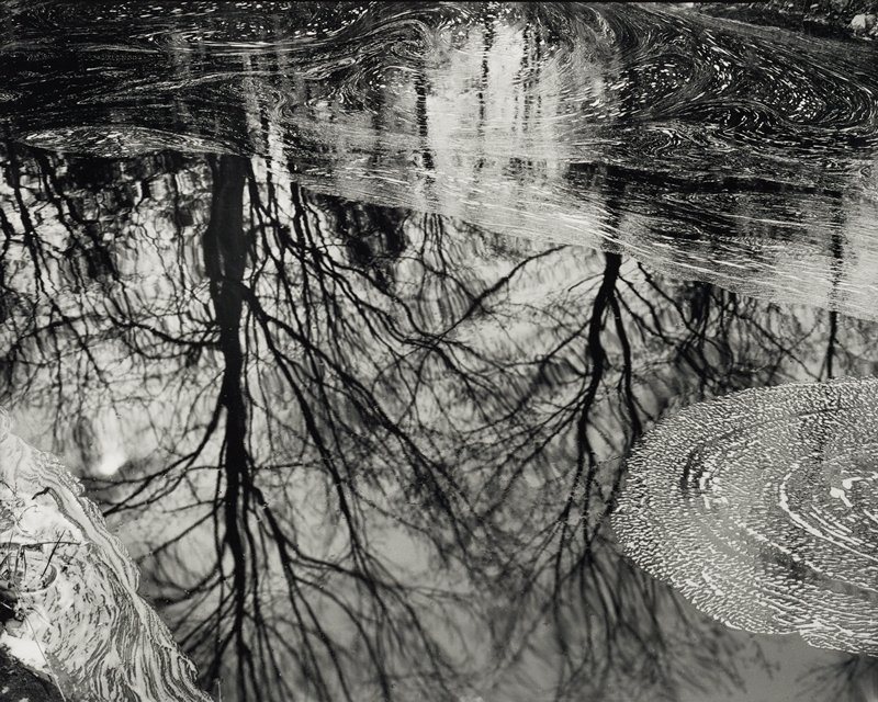 Pond Scum and Reflections, Redding, Connecticut, Paul Caponigro, 1970