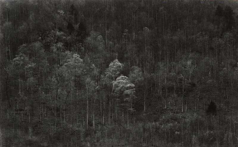 Kentucky, Paul Caponigro, 1968