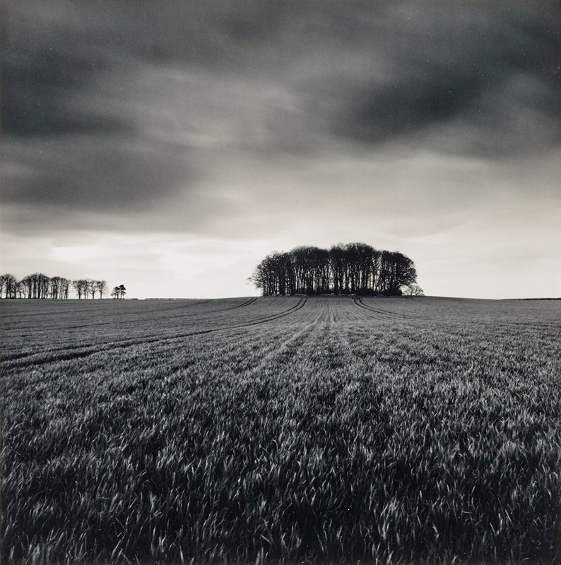 Copse, Great Smeaton, Yorkshire, England, Michael Kenna, 1991 (printed 1992)