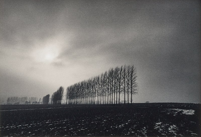 Winter Trees, Oxfordshire, England, Michael Kenna, 1984 (printed 1985)