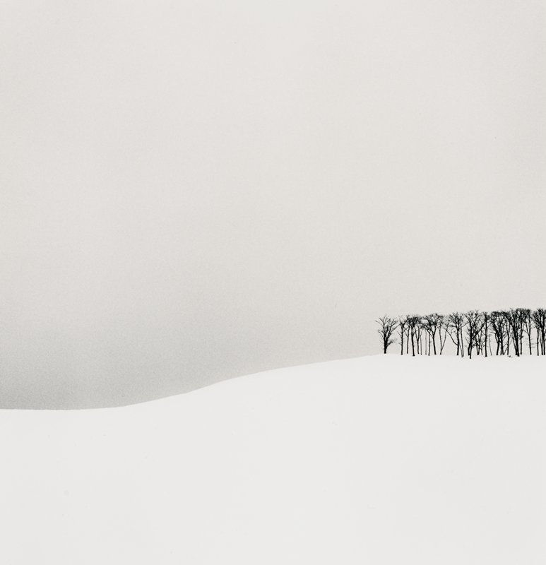 Hilltop Trees, Teshikaga, Hokkaido, Japan, Michael Kenna, 2003