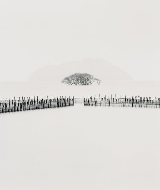 Submerged Trees, Kohoku, Honshu, Japan, Michael Kenna, 2002