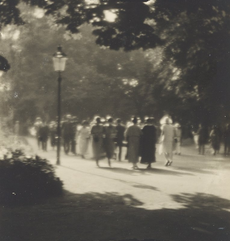 Ze Stromovky, Josef Sudek, 1926