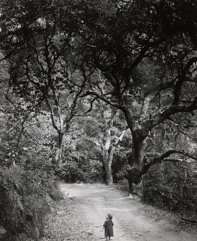Child on Forest Road, Wynn Bullock, 1958