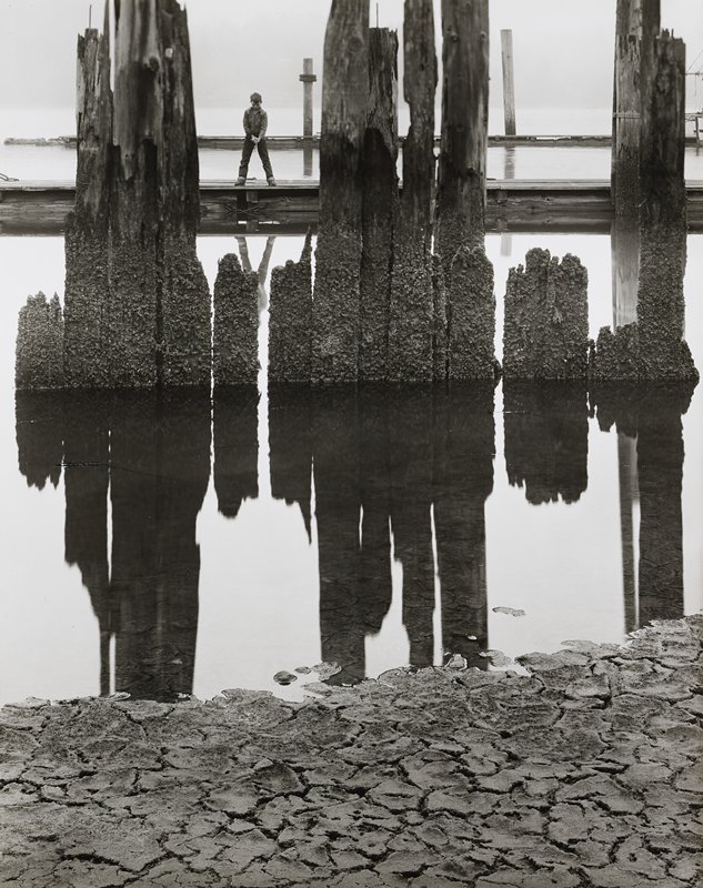 Boy Fishing, Wynn Bullock, 1959