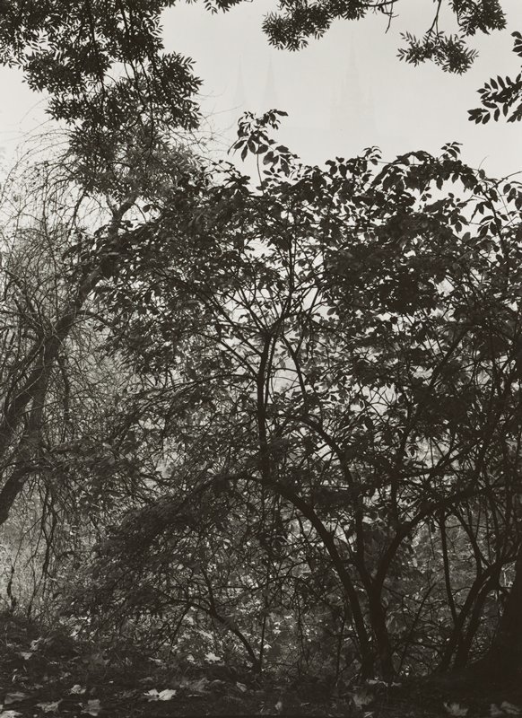 Untitled [Hradschin, Prague] by Josef Sudek