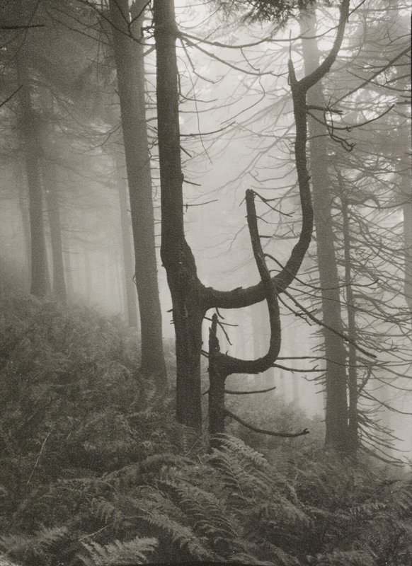 Beskydy, Josef Sudek, 20th century