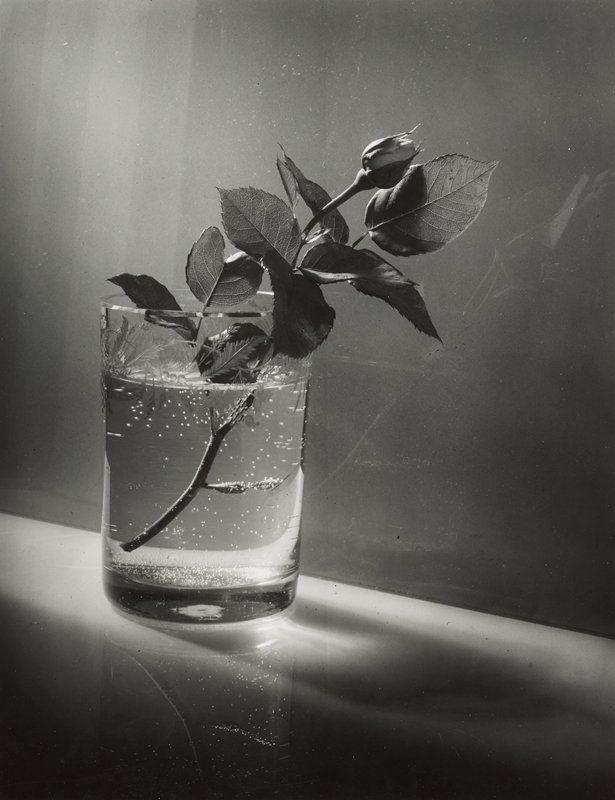 Josef Sudek Aesthetica Magazine - The Intimate World of Josef