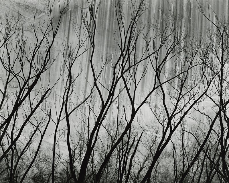 Glen Canyon, Brett Weston, 1960