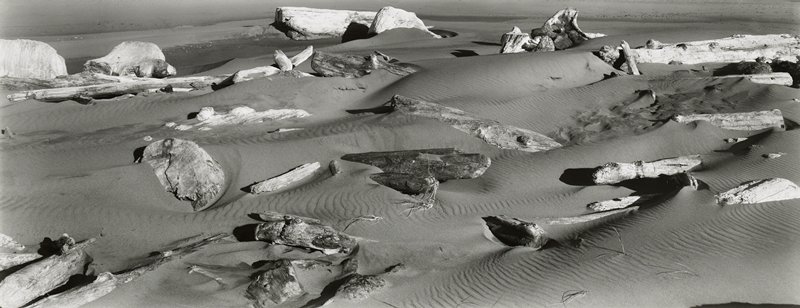 Pistol River Beach, Oregon, Michael A. Smith, 1979