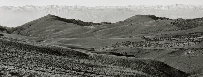 From Bristlecone Pine National Monument, California, Michael A. Smith, 1988