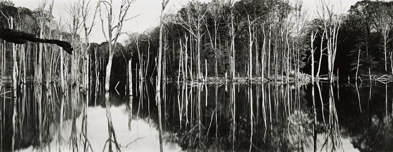 Near Delaware, Ohio, Michael A. Smith, 1983