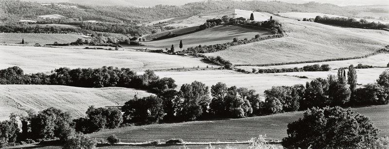 Near Leonino, Tuscany, Michael A. Smith, 2000