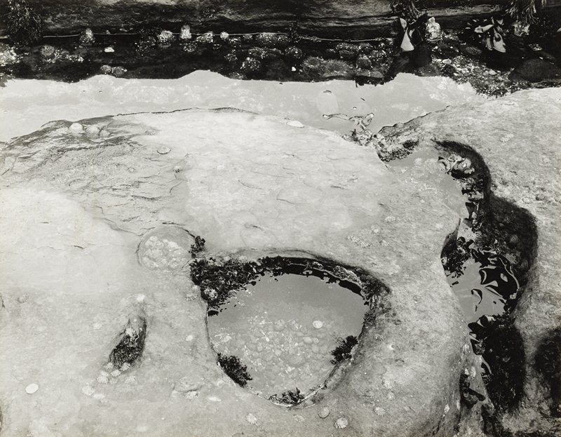 Pebble Beach, Point Lobos, CA, Minor White, 1951