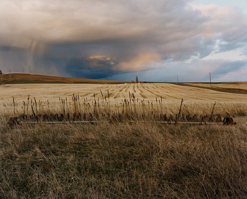 Farm Field Near Reardon, Washington, Andrew Baugnet, 1995