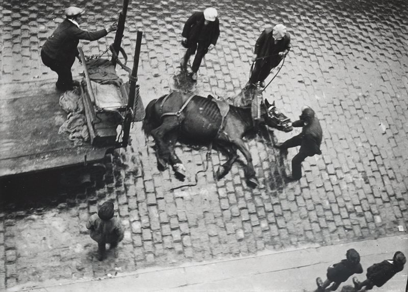 Paris (Fallen Horse), André Kertész, 1927 (printed late 1960s)