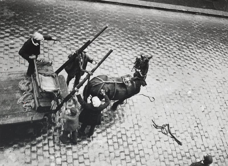 Paris (Fallen Horse), André Kertész, 1927 (printed late 1960s)