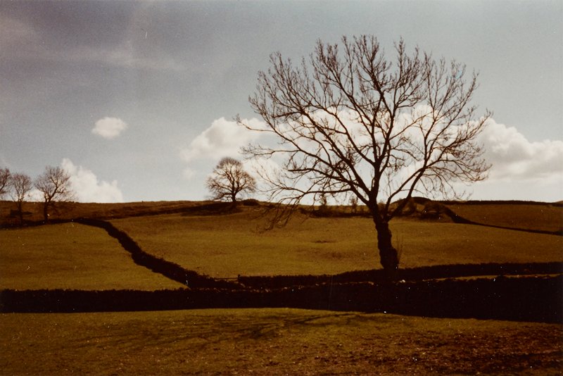Untitled [landscape with trees and clouds], Art Sinsabaugh, 1979–80