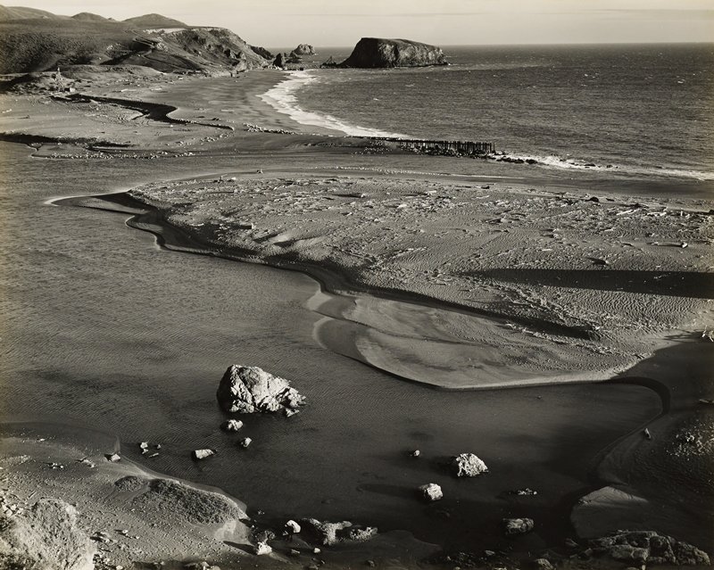 Jenner, Edward Weston, 1937