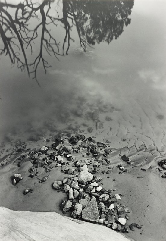 Untitled [tree, water, pebbles], Minor White, c. 1965