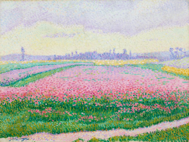 Fields of Flowers in Bloom, near Caen