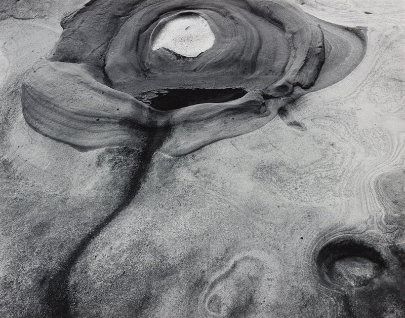 Untitled [abstract organic forms], Minor White, 20th century