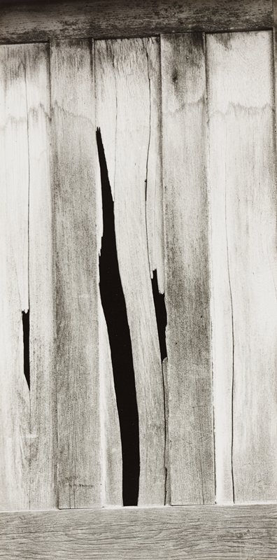 Untitled [wood wall], Minor White, 1957