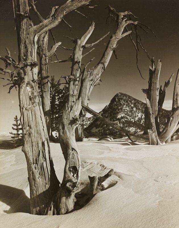 Gunsight Peak, Antelope Range, Oregon, Minor White, 1946