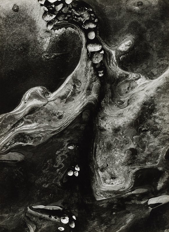 Nature Abstract, Minor White, 1963