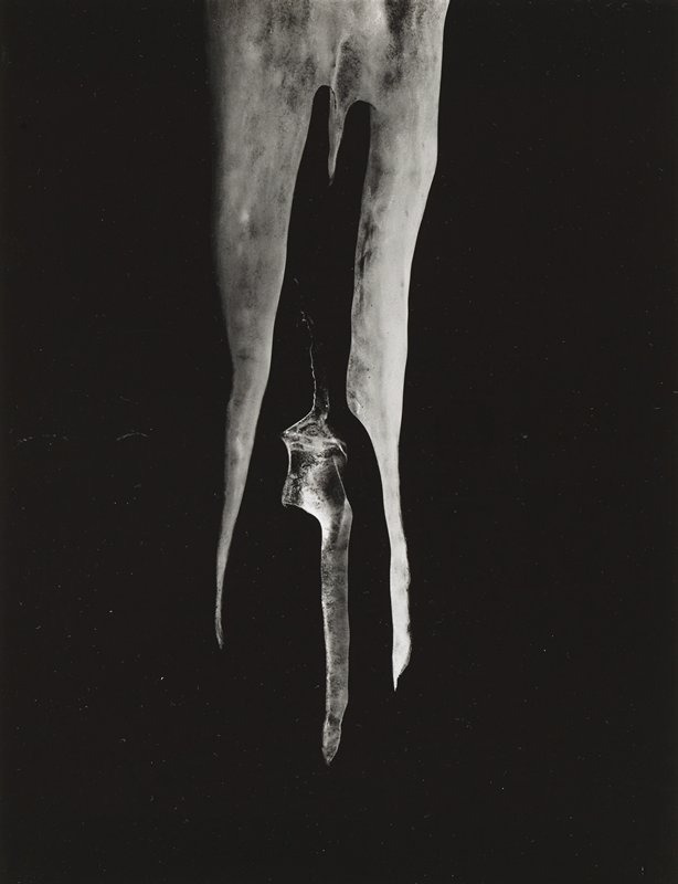 Two Icicles, from Steely the Barb of Infinity sequence, Minor White, 1959