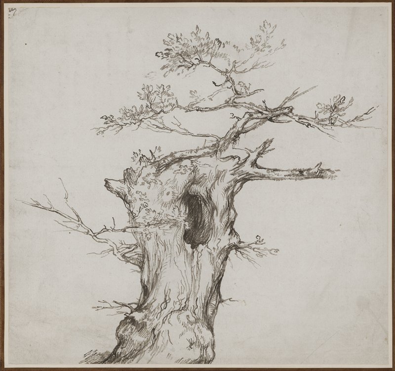 A Blasted Tree, Benjamin West, c. 1785
