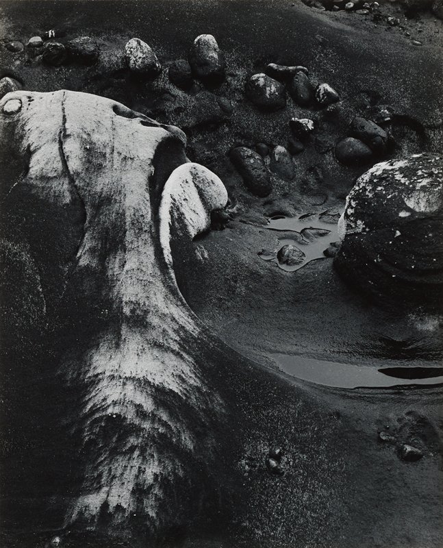Resurgence, Minor White, 1950