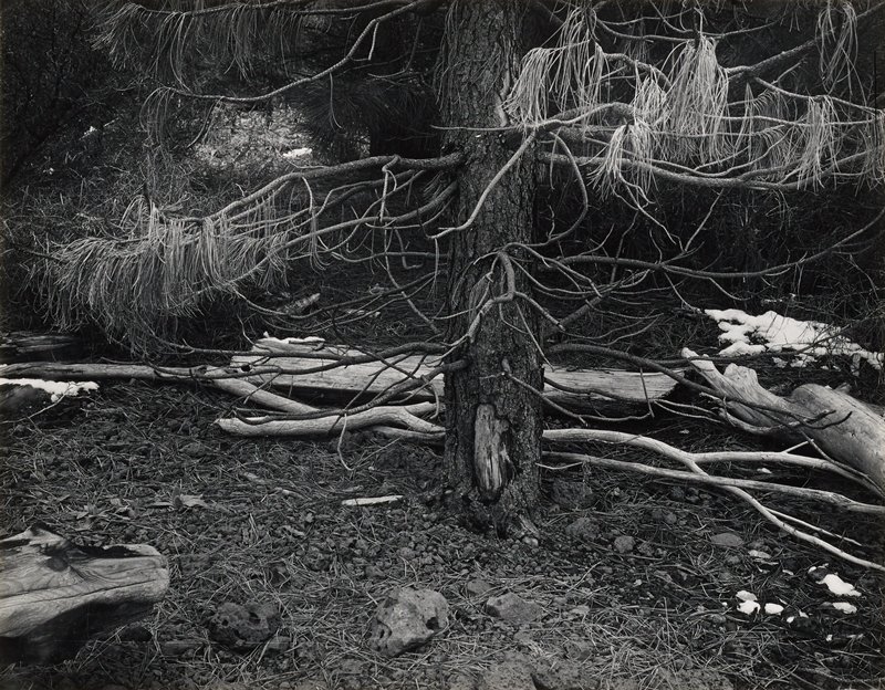Lake Almanar, Minor White, 1947
