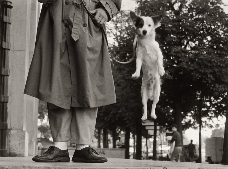 Paris, Elliott Erwitt, 1989