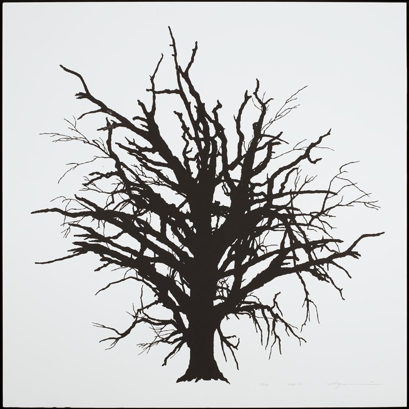 Tree M., Yoshida Ayomi, 2012