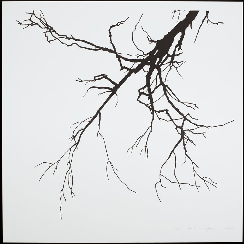 Tree 74 I., Yoshida Ayomi, 2012