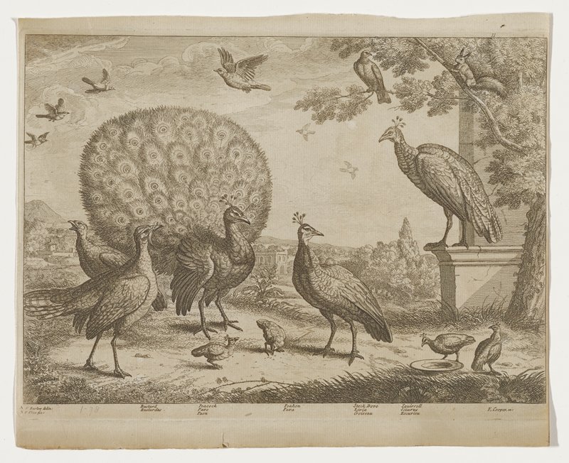 Print, Francis Place, 17th century