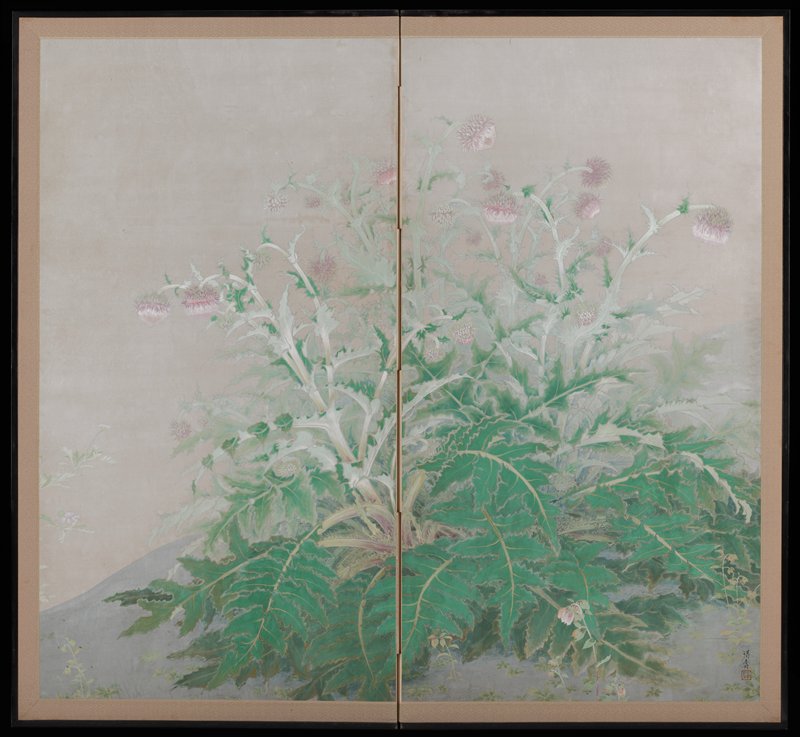 Fuji Thistle, Onda Tokuju, 1940