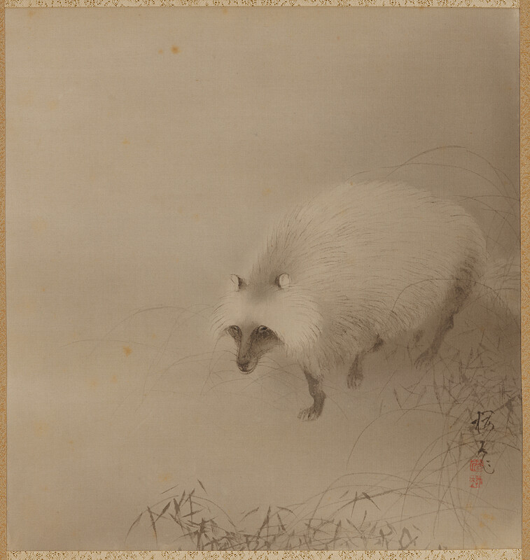 Old Raccoon, Konoshima Ōkoku, early 20th century