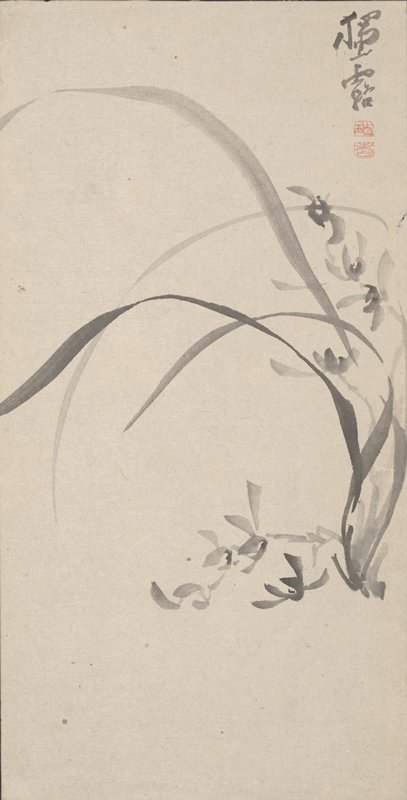 Orchid, Sō Dokuro, second half 19th century