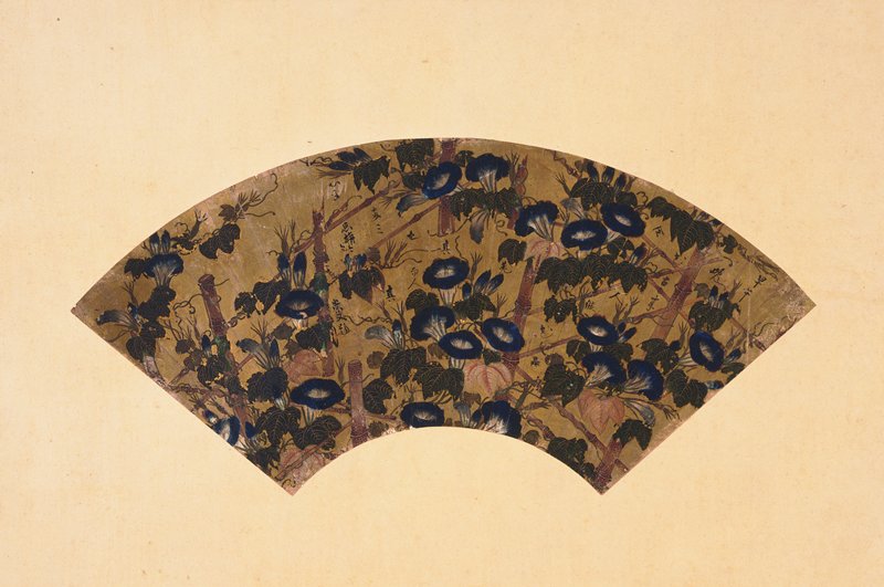 Morning Glories, 17th century
