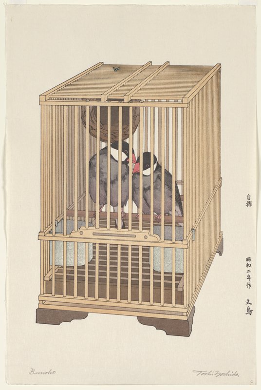 Java Sparrow, Yoshida Tōshi, 1927
