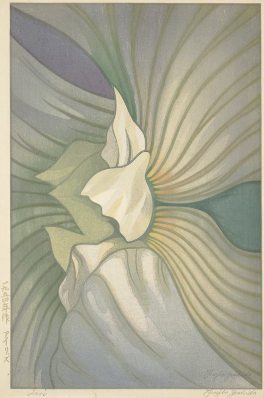 Iris, Yoshida Fujio, 1954