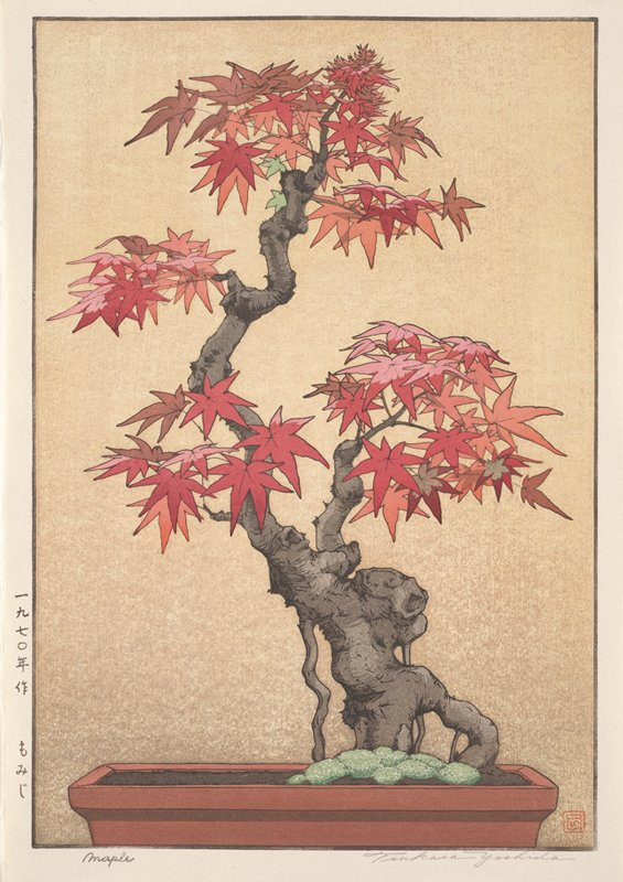 Maple, Yoshida Tsukasa, 1970