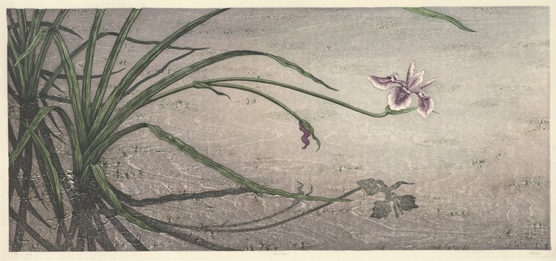 Iris Eve, Suezan Aikins, c. 1985-1995