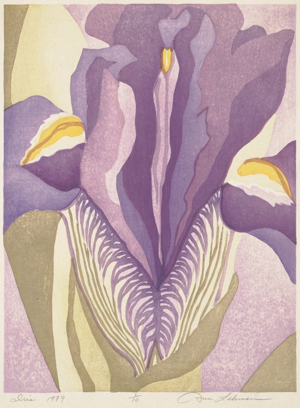 Iris, Ann Lehmann, 1979
