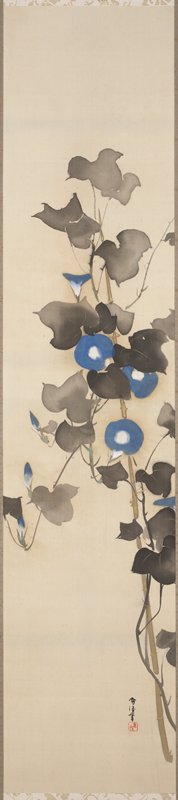 Morning Glories, Kamisaka Sekka, 1920s–1930s